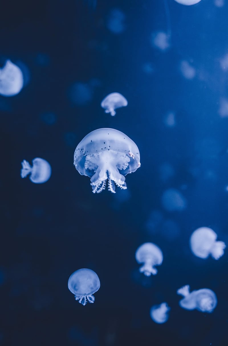 Underwater Hotels